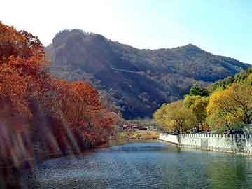 新澳天天开奖资料大全旅游团，法律专家